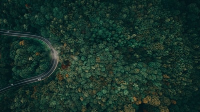 绿化树木和道路鸟瞰图